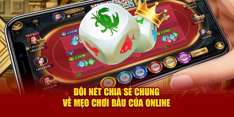 Đôi nét chia sẻ chung về mẹo chơi bầu cua Online