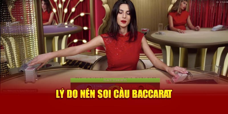 Lý do nên soi cầu Baccarat