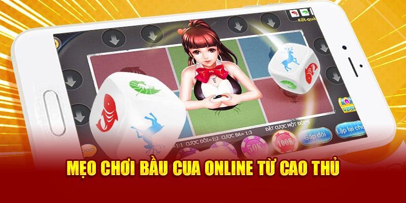 Đôi nét chia sẻ chung về mẹo chơi bầu cua Online